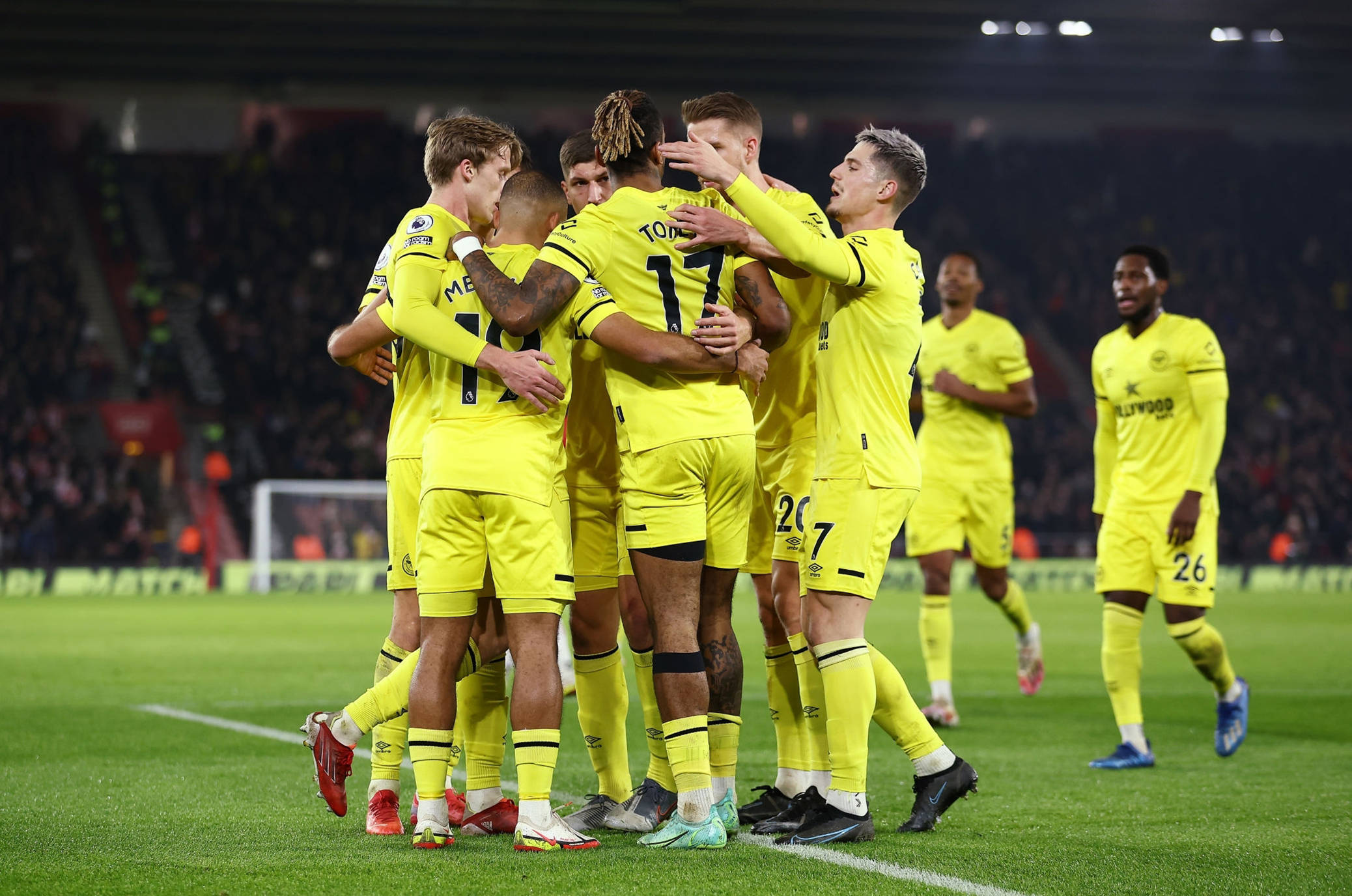 己国家的执 己国家的执