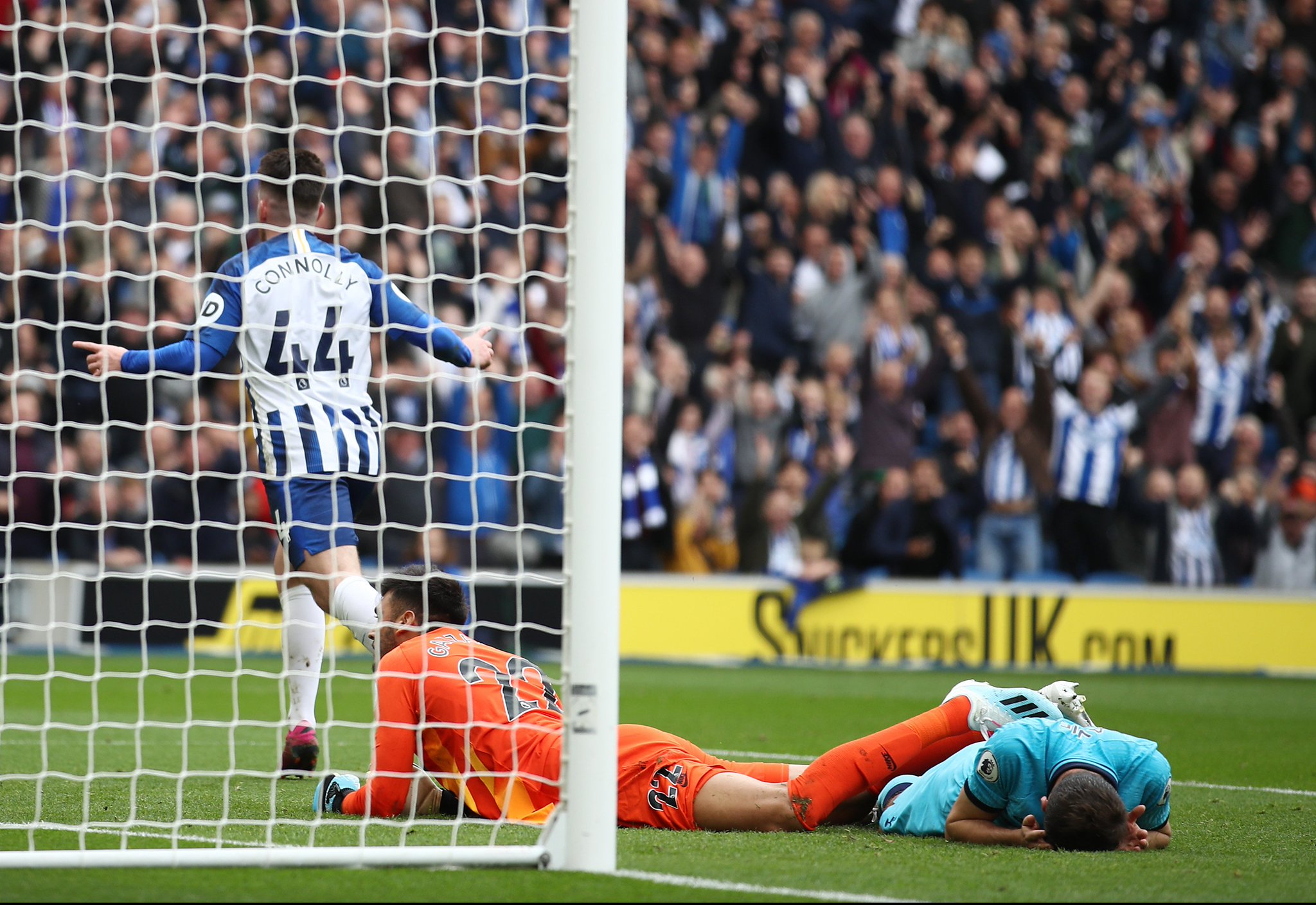 也不多见 也不多见